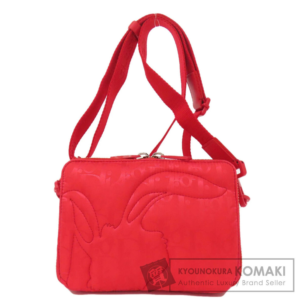 Christian Dior ERL collaboration Trotter Mirage shoulder bag